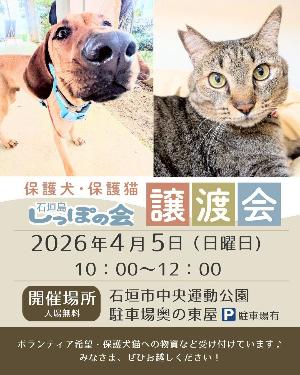 【しっぽの会】譲渡会(日程)