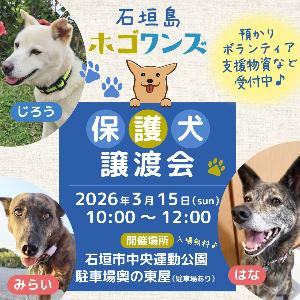 【ホゴワンズ】譲渡会(日程)