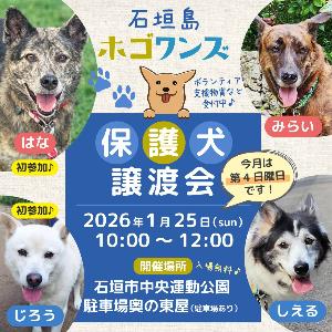 【ホゴワンズ】譲渡会(日程)
