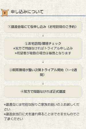 【ホゴワンズ】譲渡会(案内)