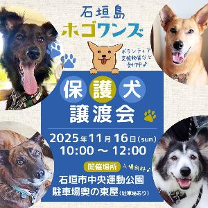 【ホゴワンズ】譲渡会(日程)
