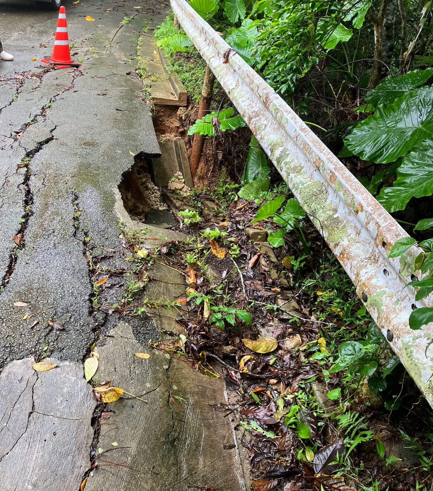 嵩田林道路肩崩落