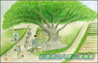 仲道路三番アコウ樹下の商人