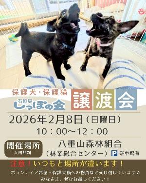 【しっぽの会】譲渡会（日程）