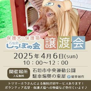 【しっぽの会】譲渡会（日程）