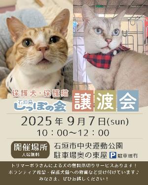 【しっぽの会】譲渡会（日程）
