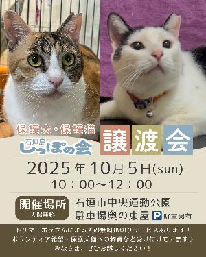 【しっぽの会】譲渡会（日程）