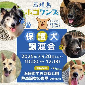 【ホゴワンズ】譲渡会（日程）
