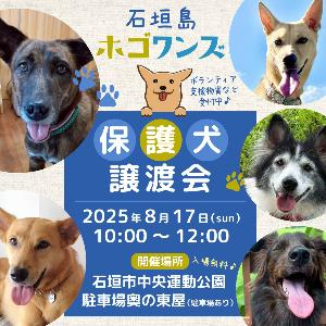 （ホゴワンズ）譲渡会