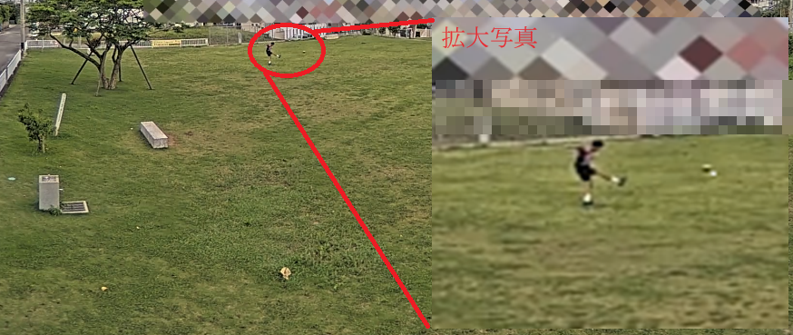 ボールを蹴り込む人