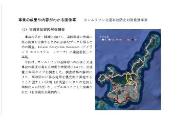カンムリワシ交通事故防止の事業内容