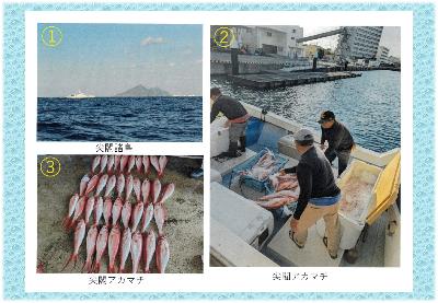 尖閣アカマチと漁風景