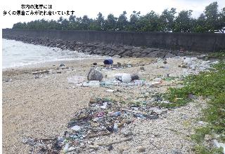海岸清掃