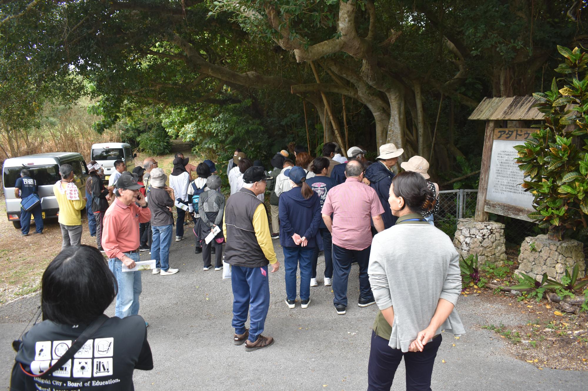 アダドゥーナー