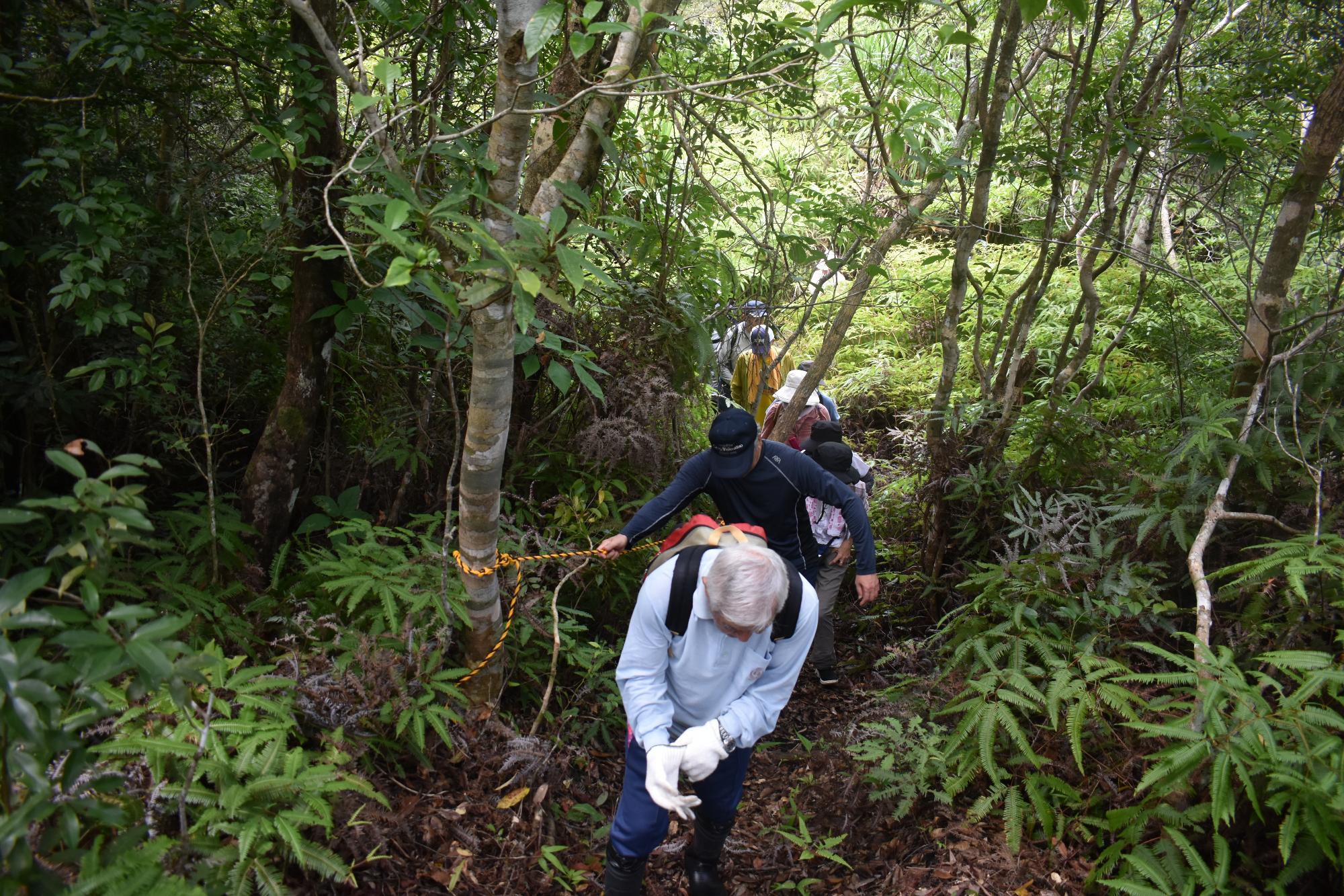 名蔵白水の戦争遺跡群　山道を登る参加者